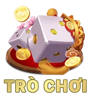 Hình ảnh cài đặt cookie và quản lý quyền riêng tư của người dùng
